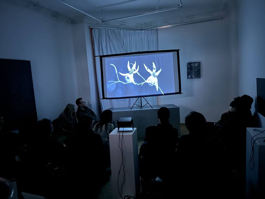 unveiled Community Film Screening Berlin